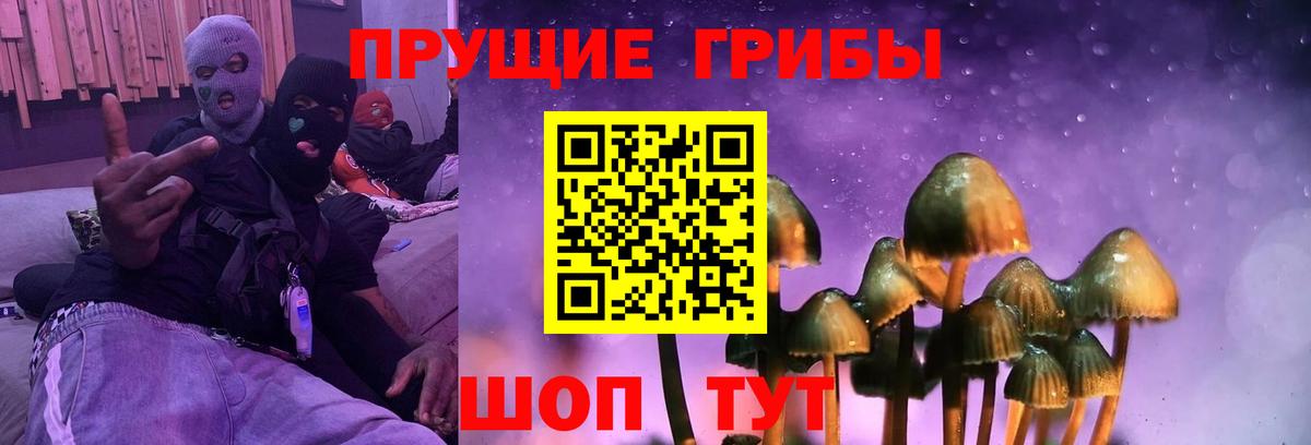 Нарткала  купить наркотики цена  Вход с VPN  Псилоцибиновые грибы мицелий 