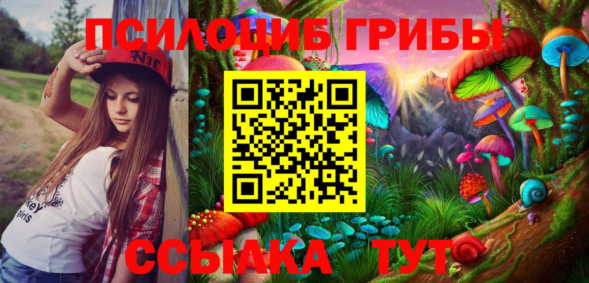 Псилоцибиновые грибы прущие грибы Нарткала